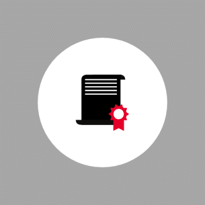 Role of the Team Leader